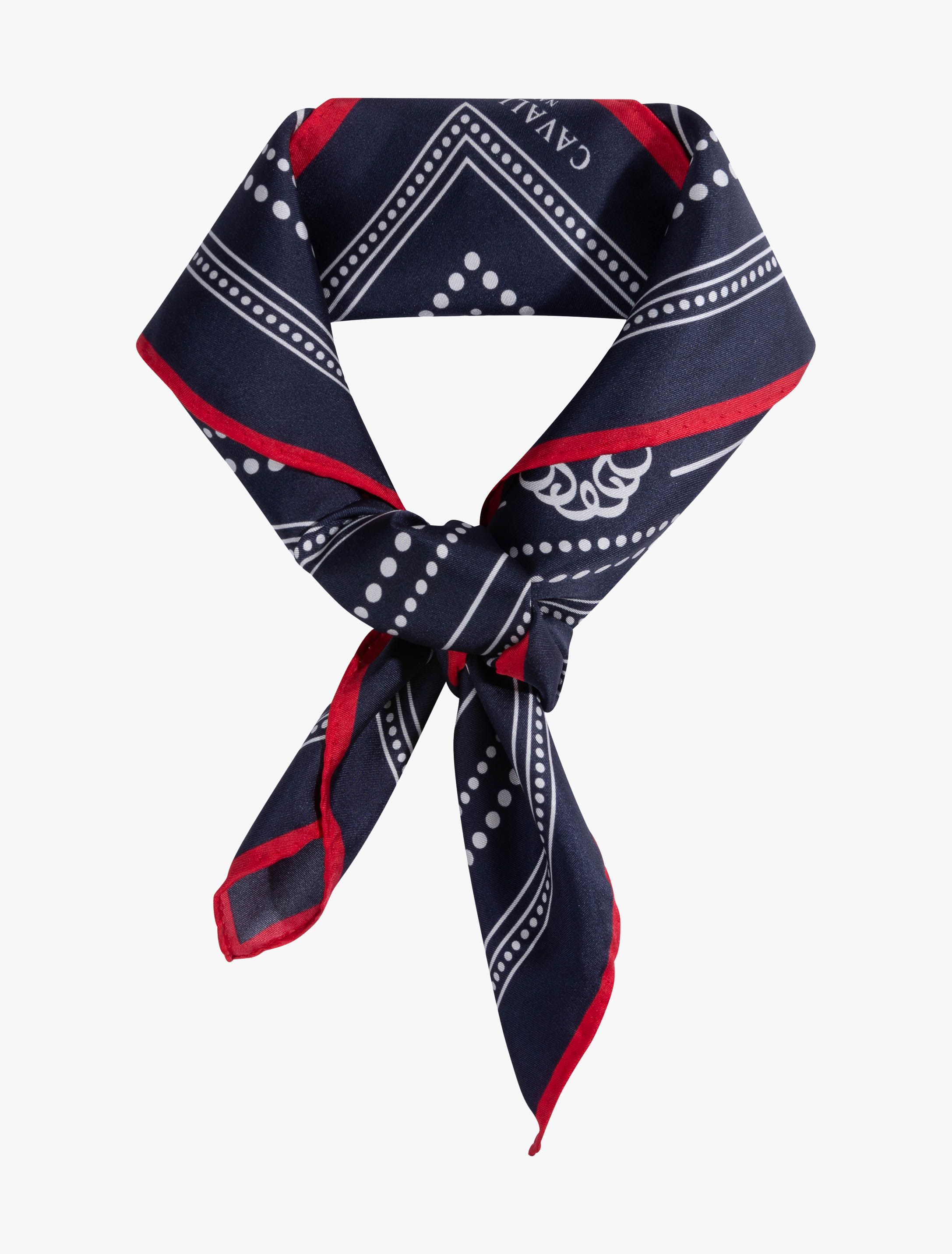 Dark blue / Red