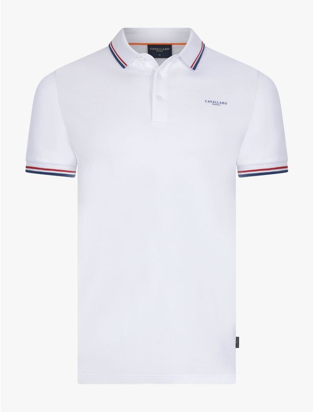 Holland Polo