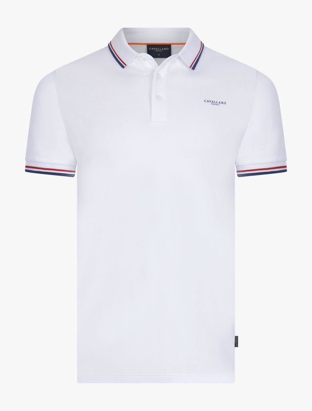 Holland Polo