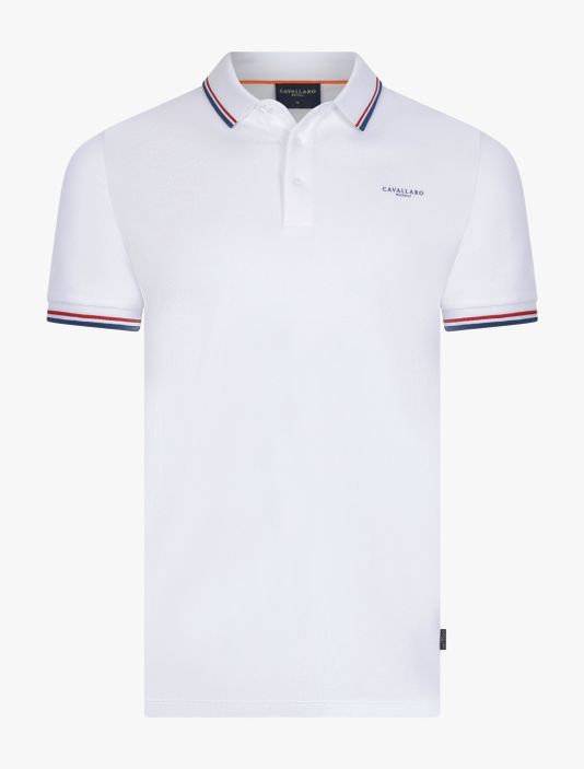 Holland Polo